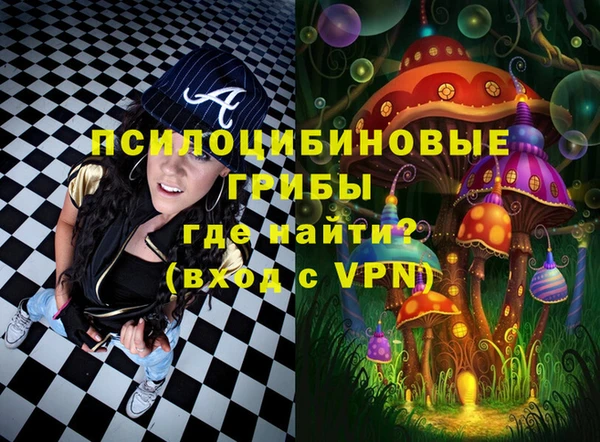 прущая мука Рославль
