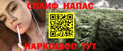 спиды Пугачёв