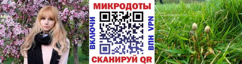 где продают наркотики  Ялта  Галлюциногенные грибы мухоморы 