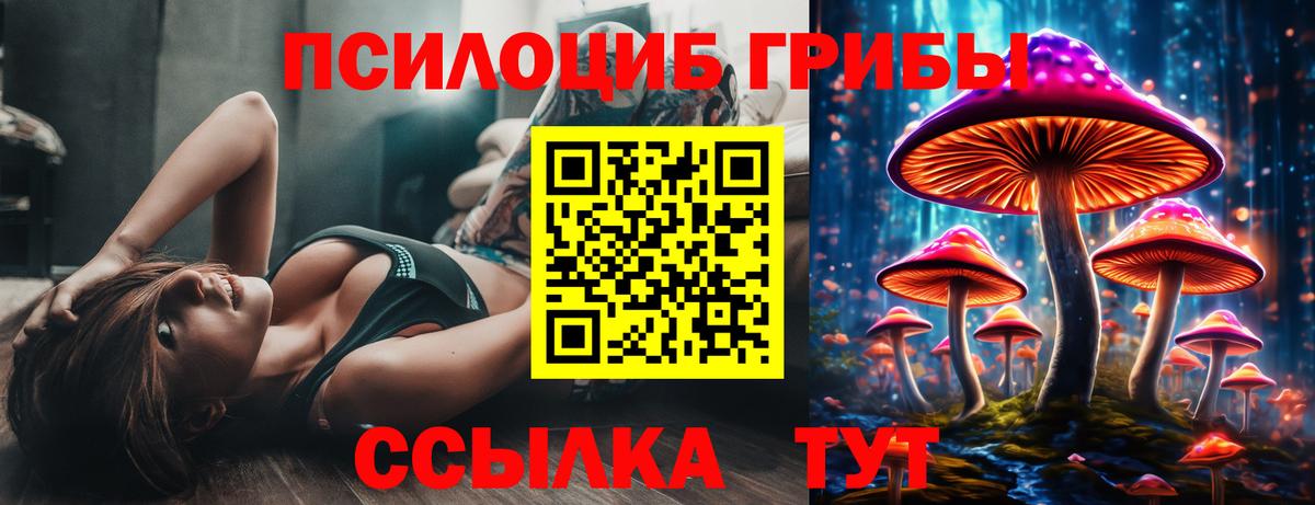 Псилоцибиновые грибы Psilocybe Ялта